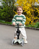 Micro Scooters - Micro Mini Deluxe Rock & Go LED Olive Sage