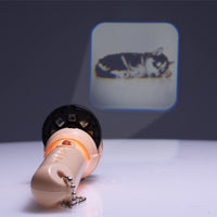 MDI - Torch Projector Assorted Styles