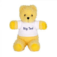 ABC Kids - Soft Toy Play School Big Ted 18cm