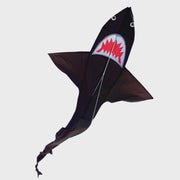 Brookite - Shark Kite