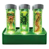4M - KidzLabs Glow Critter Lab