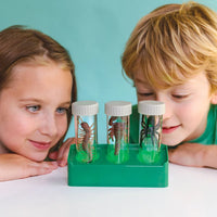 4M - KidzLabs Glow Critter Lab