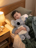 Sensory Sprouts - Mini & Me Weighted Plush Koala Cuddles