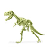 4M - Kidzlabs Glowing T-Rex Skeleton