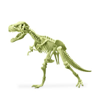 4M - Kidzlabs Glowing T-Rex Skeleton