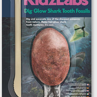 4M - KidzLabs Shark Fossil Tooth