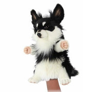 Hansa - Chihuahua Puppet