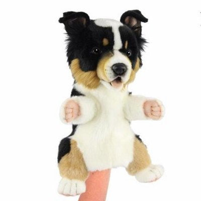 Hansa - Australian Kelpie Puppy Puppet