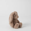 Jiggle & Giggle - Bunny  Assorted Colours Small