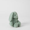 Jiggle & Giggle - Bunny  Assorted Colours Small