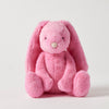 Jiggle & Giggle - Bunny Assorted Colours Medium