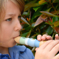 Koala Dream - Wooden Recorder Buzzy Days