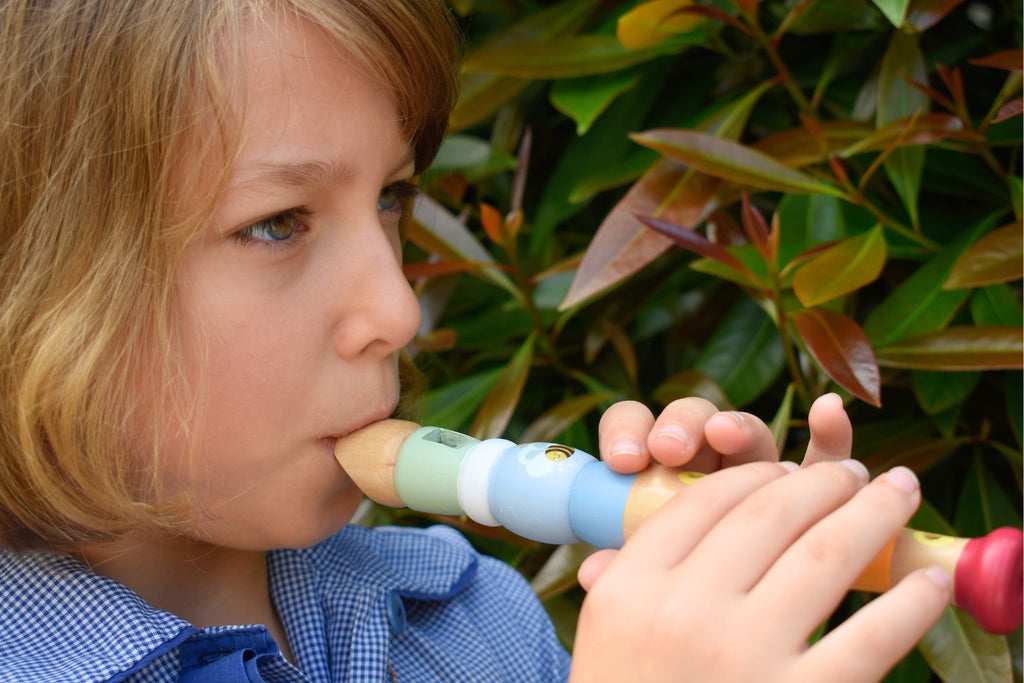 Koala Dream - Wooden Recorder Buzzy Days