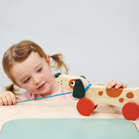 Mentari - Puppy on Wheels Pull Along