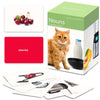 Picture My Picture - Flashcards Nouns