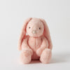 Jiggle & Giggle - Bunny Assorted Colours Medium