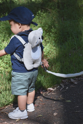 Playette - 2-in-1 Harness Buddy Assorted Styles