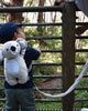 Playette - 2-in-1 Harness Buddy Assorted Styles
