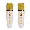 MDI - Wireless Karaoke Duo