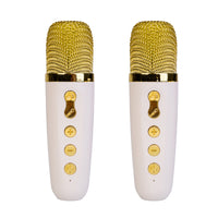 MDI - Wireless Karaoke Duo