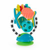 Sassy Baby - Teethe & Twirl Sensation