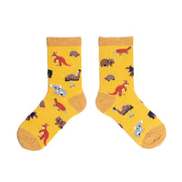 Spencer Flynn - Children's Socks Age 4-6 Assorted Styles  $12.95