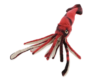 Keeleco - Squid