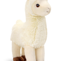 Keeleco - Llama