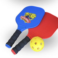 Pickleball Set