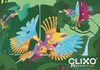 Clixo - Tropical Birds