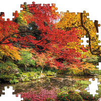 Clementoni - Puzzle 1000 piece Autumn Park