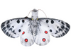 Wild Republic - Finger Puppet Butterfly Assorted Styles