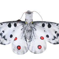 Wild Republic - Finger Puppet Butterfly Assorted Styles