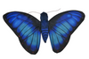 Wild Republic - Finger Puppet Butterfly Assorted Styles