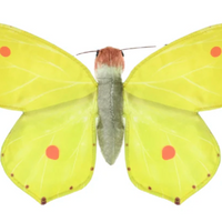 Wild Republic - Finger Puppet Butterfly Assorted Styles