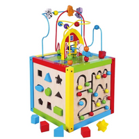 Viga - 5-in-1 Activity Cube