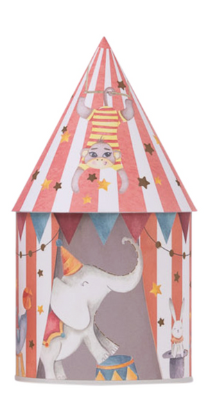 Splosh - Light Up House Assorted Styles