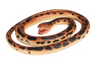 Wild Republic - Rubber Snake Assorted Styles
