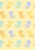Gift Wrap Single Sheet Assorted Styles