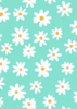 Gift Wrap Single Sheet Assorted Styles