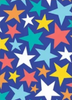 Gift Wrap Single Sheet Assorted Styles