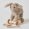 Jiggle & Giggle - Plush Pull Along Bunny