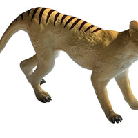 Science & Nature - Animals of Australia Small Australian Animals Assorted Styles