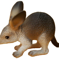 Science & Nature - Animals of Australia Small Australian Animals Assorted Styles