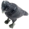 Science & Nature - Animals of Australia Small Australian Birds Assorted Styles