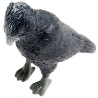 Science & Nature - Animals of Australia Small Australian Birds Assorted Styles