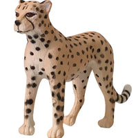 Science & Nature - Small Wild Animals Assorted Styles