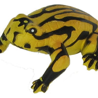 Science & Nature - Animals of Australia Small Australian Frogs & Reptiles Assorted Styles