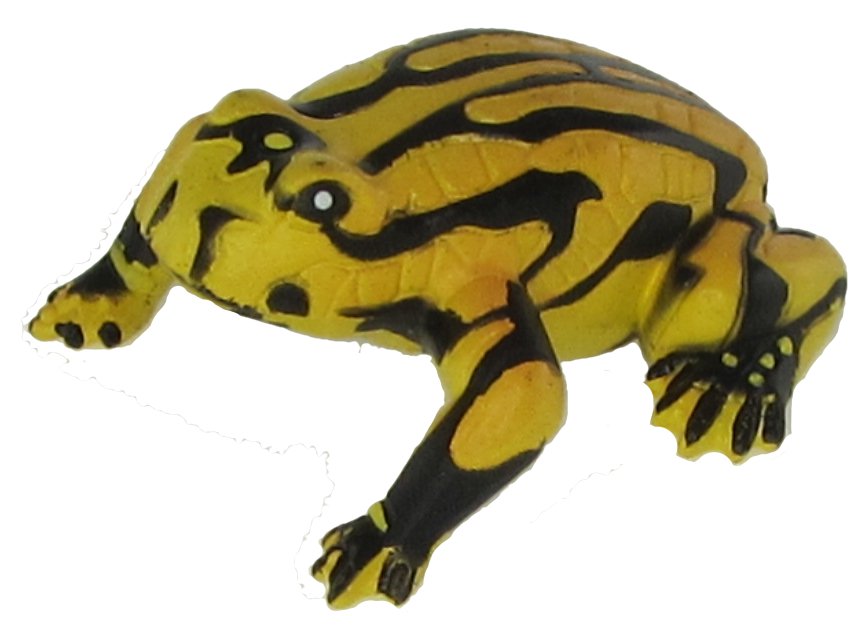 Science & Nature - Animals of Australia Small Australian Frogs & Reptiles Assorted Styles