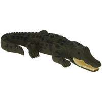 Science & Nature - Animals of Australia Small Australian Frogs & Reptiles Assorted Styles